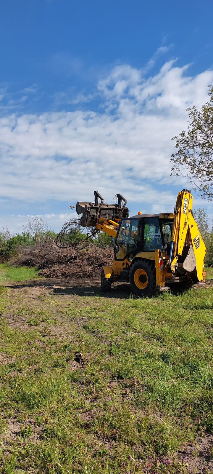 Buldoexcavator JCB strânge cu greiferul crengi și arbuști tăiați pe un teren în curs de curățare
